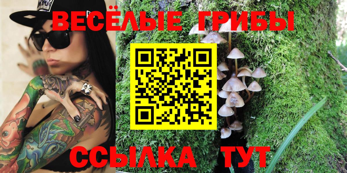 Псилоцибиновые грибы Psilocybine cubensis Волжский